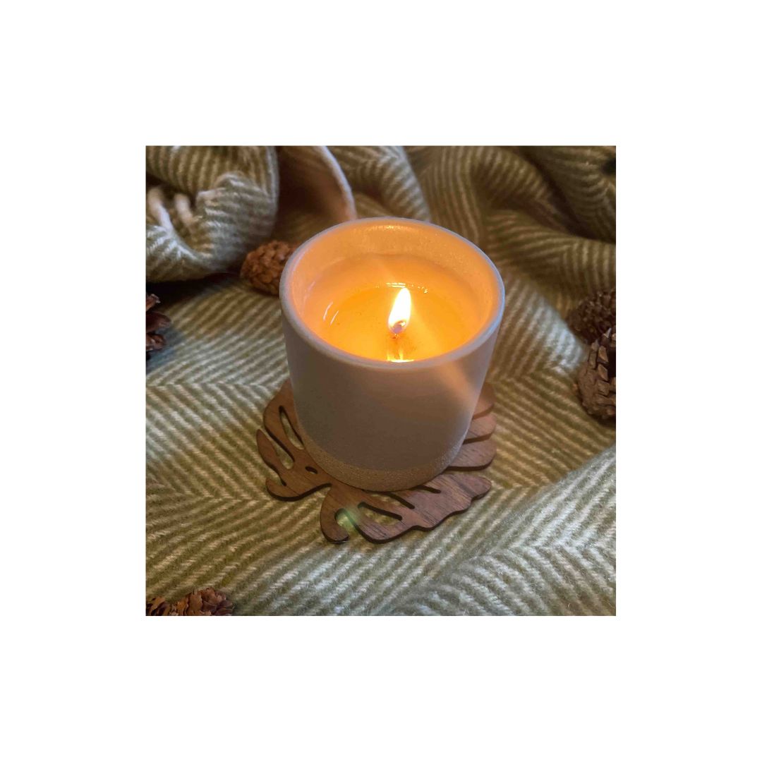 Monstera Upcycled Teak Wood Coasters – Set of 2