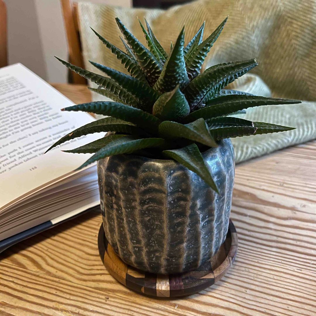 Sous-verres en bois massif surcyclé – Set de 2