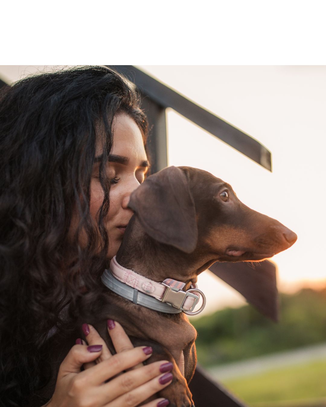 Amoureux des animaux