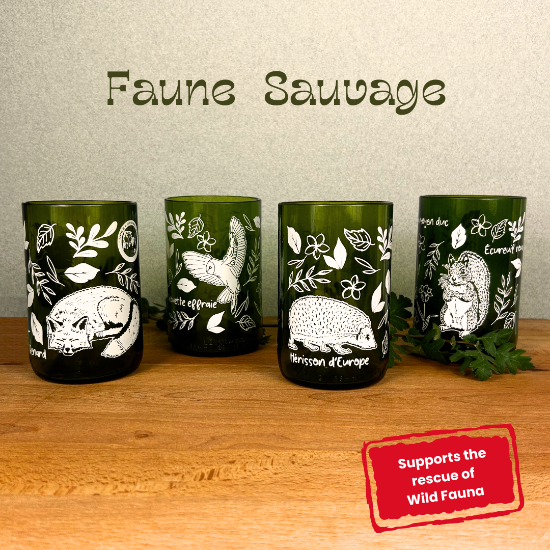 Faune Sauvage