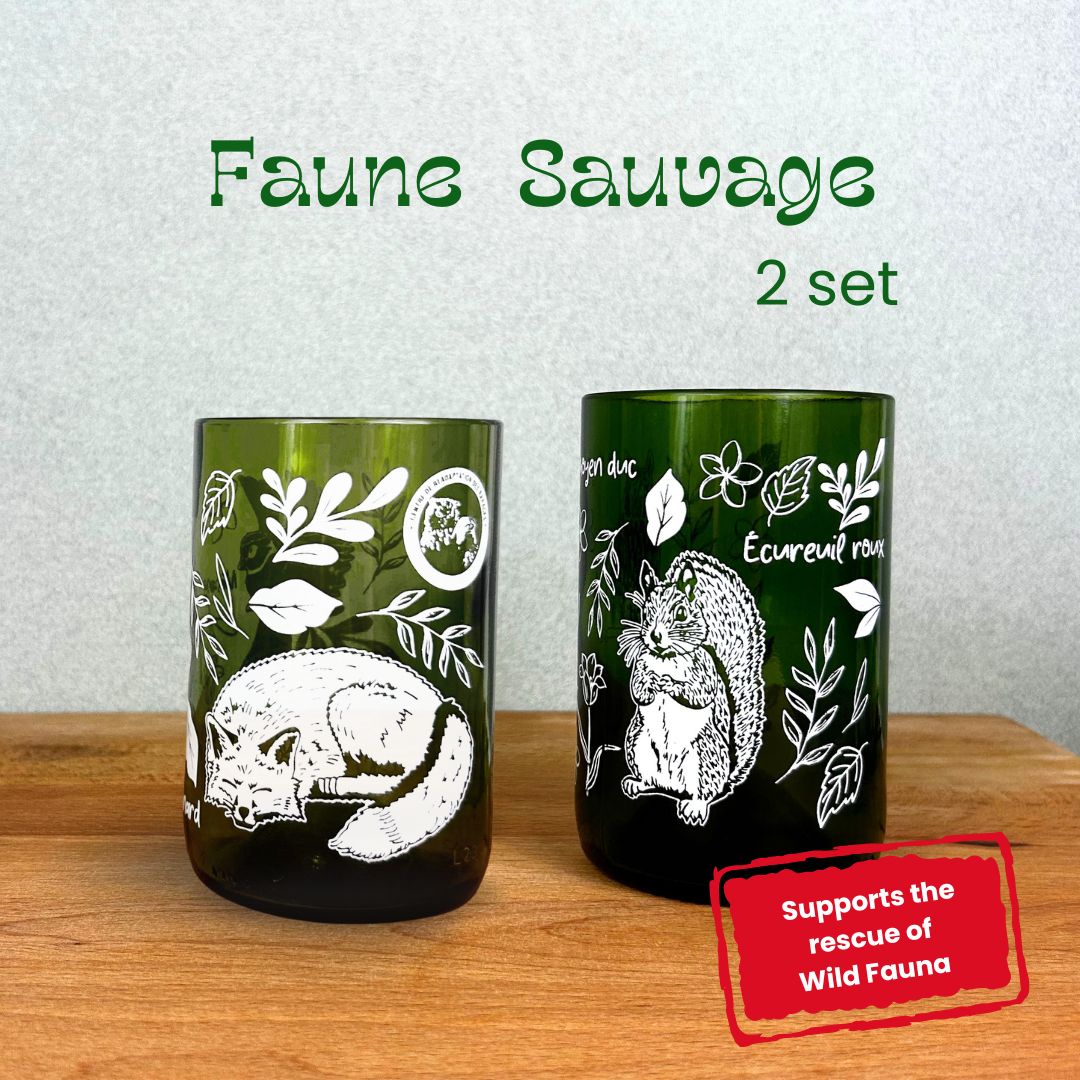 Wildtiere - Set mit 2 Gläsern